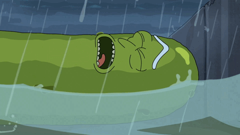 pickle rick in rain